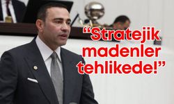 CHP’li Aykut Kaya uyardı: "Stratejik madenler tehlikede!"