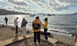 Bodrum'da batan botta 17 kişi can verdi