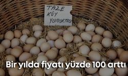 Antalya’da köy yumurtasının yanına yaklaşılmıyor! Bir yılda fiyatı yüzde 100 arttı
