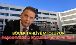 Böcek tahliye mi oluyor? Başkanvekili o sözlere açıklık getirdi