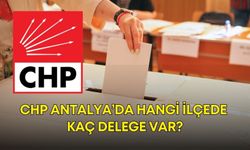 CHP Antalya’da hangi ilçede kaç delege var?