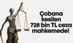Çobana kesilen 728 bin TL ceza mahkemede! Keçileri fidan dikim sahasına kaçmıştı