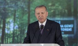 Cumhurbaşkanı Erdoğan'dan "Yeşil Vatan Seferberliği" çağrısı