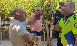 Manavgat’ta alkollü sürücü Cumhurbaşkanına hakaretten tutuklandı