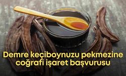 Demre keçiboynuzu pekmezine coğrafi işaret başvurusu