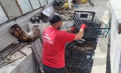 Demre felaketi yaşadı…