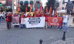 Emek Partisi Antalya’da TPİ Composite çalışanlarına destek verdi