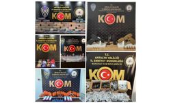 Antalya'da kaçakçılık ve organize suçlara geçit yok