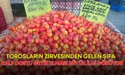 Torosların zirvesinden gelen şifa! Kalp dostu geyik elması büyük ilgi görüyor