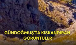 Antalya’da doğada özlenen günler geri geldi! Gündoğmuş’ta kıskandıran görüntüler