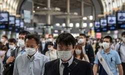 Japonya'da kuş gribi salgını patladı! Yaklaşık 460 bin tavuk itlaf edilecek