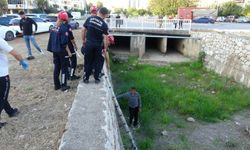 Antalya'da alkollü adam su kanalına düştü, köpeği sayesinde kurtarıldı