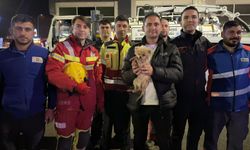 Kanalizasyona düşen köpek 6 saatlik çalışmayla kurtarıldı