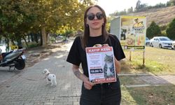 Sokak sokak kaybolan kedisini arıyor! Bulana 100 bin lira ödül verecek