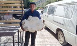 Konya'da 19 kilo ağırlığında dev mantar bulundu