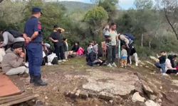 Muğla'da kaçak göçmenler yakalandı!