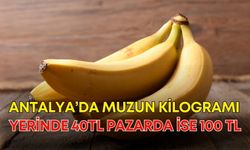 Antalya’da muzun kilogramı yerinde 40TL pazarda ise 100 TL