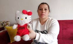 Oyuncağa gizlenen ses kaydı kreşteki şiddeti ortaya çıkardı