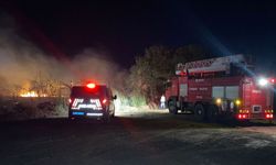 Antalya D400 karayolunda çıkan yangın sürücülere zor anlar yaşattı