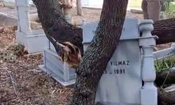 Serik’te fırtına mezarlıkta hasara yol açtı