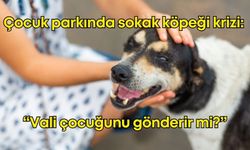 Antalya’da sokak köpeği tehlikesi: “Çocuk parkına giremiyoruz”