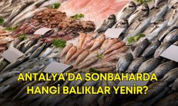 Antalya’da sonbaharda hangi balıklar yenir?