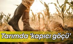 Tarımda 'kapıcı göçü’! Tarımı bırakıp kapıcı oldular