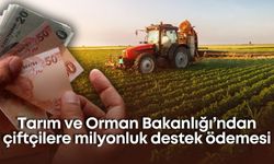 Tarım ve Orman Bakanlığı’ndan çiftçilere milyonluk destek ödemesi