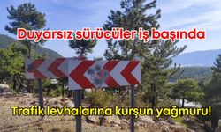 Mersin'de trafik levhalarına kurşunlu saldırı!