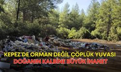 Kepez’de orman değil çöplük yuvası! Doğanın kalbine büyük ihanet