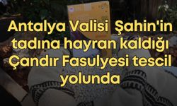 Antalya Valisi Hulusi Şahin'in tadına hayran kaldığı Çandır Fasulyesi tescil yolunda