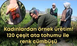 Kayseri'de kadınlardan örnek üretim! 120 çeşit ata tohumu ile renk cümbüşü