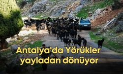 Antalya'da asırlık göç geleneği sürüyor! Yörükler yayladan dönüyor