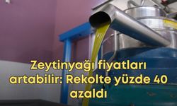 Zeytinyağı fiyatları artabilir: Rekolte yüzde 40 azaldı