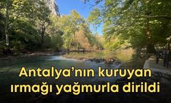 Antalya’nın kuruyan ırmağı yağmurla dirildi