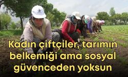 Kadın çiftçiler, tarımın belkemiği ama sosyal güvenceden yoksunlar