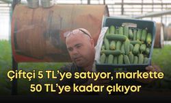 Antalya’da salatalık krizi: Çiftçi 5 TL’ye satıyor, markette 50 TL’ye kadar çıkıyor
