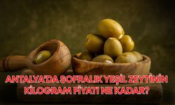 Antalya’da sofralık yeşil zeytinin kilogram fiyatı ne kadar?
