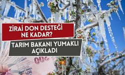 Zirai don desteği ne kadar? Tarım Bakanı İbrahim Yumaklı açıkladı