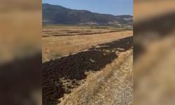 26 kamyon arıtma çamuru Burdur'a döküldü! Firmaya milyon liralık ceza