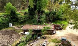 300 yıllık su değirmeni zamanın çarklarını döndürmeye devam ediyor