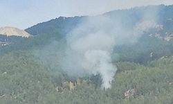 Muğla Kavaklıder'deki orman yangını kontrol altına alındı
