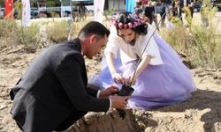 Muğla'da 11 çift, 11 çınarla doğaya nefes oldu