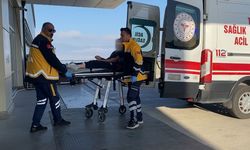 Burdur'da kız çocuğuna köpek ısırdı