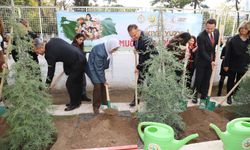 Muğla'da binlerce fidan toprakla buluştu