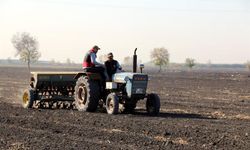 Adana’da 480 dekar mera alanı ıslah ediliyor