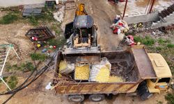 Aksu'da sağlıksız ortamda patates dilimleyen işletme mühürlendi! 1 ton patates imha edildi