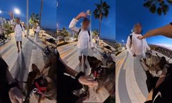 Alanya'da köpeğiyle oturan genç kızın yanına geldi, tehditler savurdu!