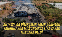 Antalya’da dilekçeler talep görmedi! Yangınlarda milyonlarca lira zarar meydana geldi