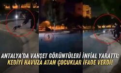 Antalya’da vahşet görüntüleri infial yarattı! Kediyi havuza atan çocuklar ifade verdi